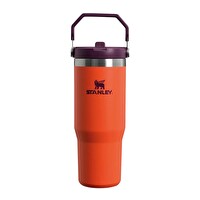 Stanley 10-09993-314 The IceFlow Flip Straw 0.89 L Pipetli Termos Bardak