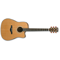Ibanez AW3050CE-LG Elektro Akustik Gitar