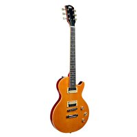 Dmx Guitars DALP100 A Slash AFD Les Paul Elektro Gitar