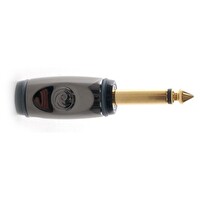 Planet Waves PWAGP2 Switchli Düz Kablo Ucu