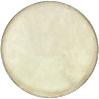 Cox Bongo Derisi (6") DER-B-6