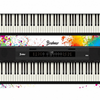 Brahner BR-88 88 Tuşlu Klavye