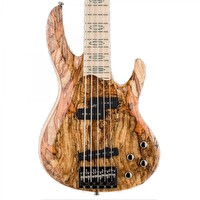 Esp Ltd RB-1005SM Natürel Bas Gitar