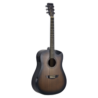 Strinberg Forest FS4D HCR TBS Elektro Akustik Gitar
