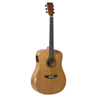 Strinberg Forest FS4D HCR MGS Elektro Akustik Gitar