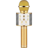 Winex USB-A+TF SD Kart+3.5 MM Aux Girişli Bluetooth Gold Karaoke Mikrofonu
