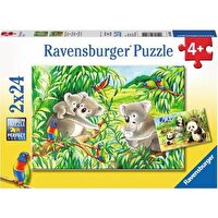 Ravensburger 2x24 Parça Koalas Pandas Puzzle 078202