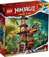 LEGO NINJAGO Ejderha Enerji Küreleri Tapınağı 71795