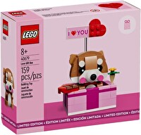 LEGO Seasonal Love Gift Box 40679