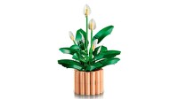 LEGO Botanicals Barış Çiçeği 11504