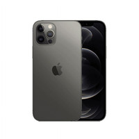 Yenilenmiş iPhone 12 Pro Max 256 GB Grafit Cep Telefonu (1 Yıl Garantili) - C Kalite