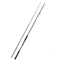 Shimano Beastmaster XT Shore Jigging 305 CM 30-100 GR Jig Olta Kamışı