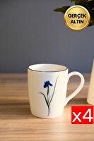Tabak Evi Porselen Natura İris Kulplu Mug Kupa 9 CM - 220 ML - 4 Kişilik