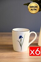 Tabak Evi Porselen Natura İris Kulplu Mug Kupa 9 CM - 220 ML - 6 Kişilik