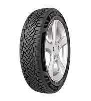 Petlas 205/55 R17 TL 95W Reinf. Multi Action PT565 Dört Mevsim Lastiği - Üretim Tarihi : 2026