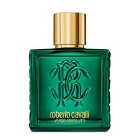 Roberto Cavalli Signature Uomo Verde Assoluto EDP 100 ml Erkek Parfümü