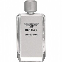 Bentley Momentum EDT 100 ml Erkek Parfümü