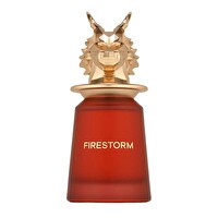 French Avenue Firestorm EDP 100 ml Unisex Parfüm