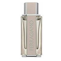 Salvatore Ferragamo Bright Leather EDT 100 ml Erkek Parfümü