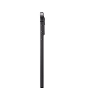 Apple iPad M4 Pro 11-Inch Wi-Fi 256GB with Standard Glass - Space