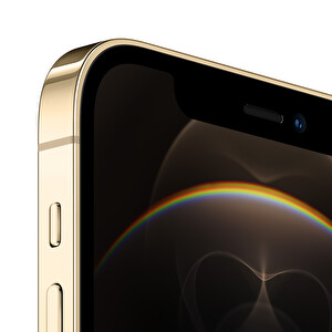 Apple iPhone 12 Pro 128GB Akıllı Telefon Altın Fiyatı ve