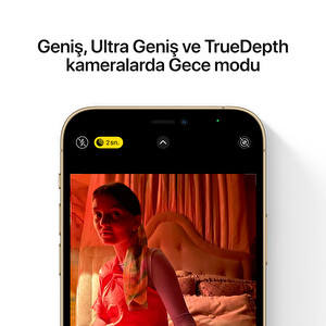 Apple iPhone 12 Pro Max 128GB Akıllı Telefon Altın Fiyatı ve