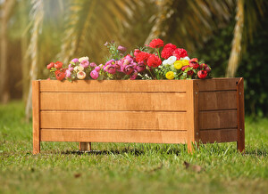 Daha Fazla Cep Telefonu