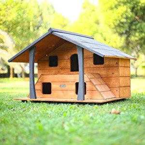 Daha Fazla Cep Telefonu