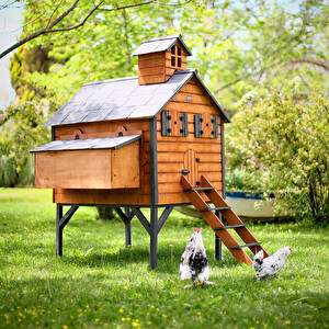 Daha Fazla Cep Telefonu