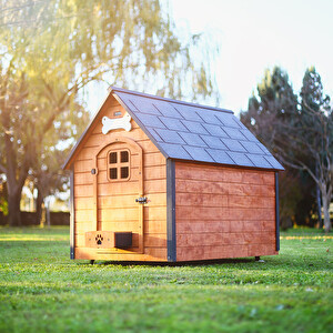 Daha Fazla Cep Telefonu