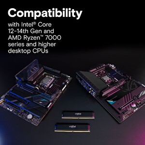 Crucial Pro CP2K16G60C36U5B 32 GB (2x16 GB) OC DDR5 6000 MHz RAM