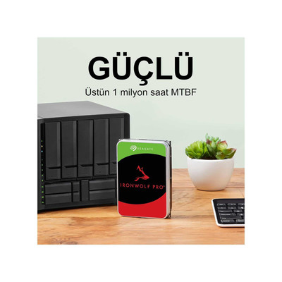 Seagate IronWolf ST8000VN004 8 TB 7200 Rpm 256 MB Sata3 3.5