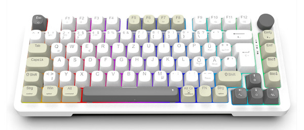 INCA IKG-455 EMPOUSA GASKET HOT SWAP POSH TRİ-MODE MAKRO RGB MEKANIK GAMING KLAVYE-BEYAZ