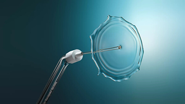 Philips Sonicare HX3333/24 Ağız Duşu