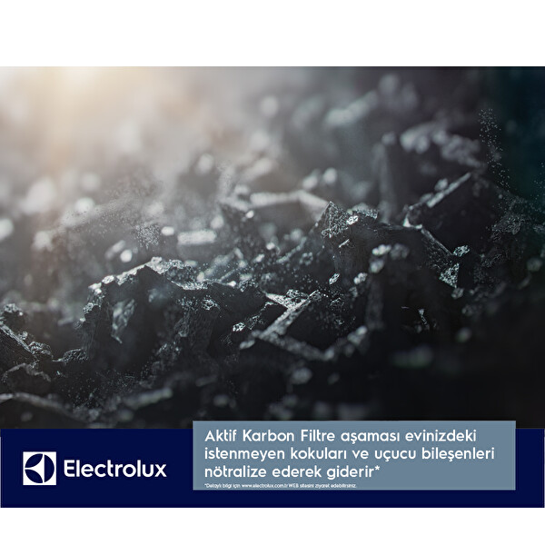 Electrolux EFFCLN2EU EPO50351SW Hava Temizleyici Filtresi 7