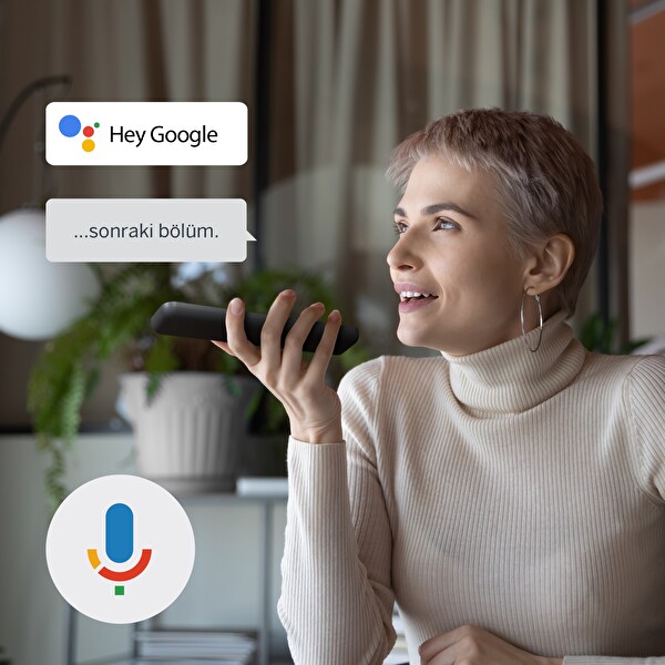 Thomson Streaming Stick 140