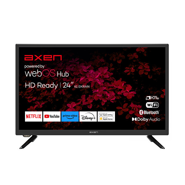 AXEN AX24LEDI262C-S 24" 60 EKRAN HD WEBO (OUTLET)