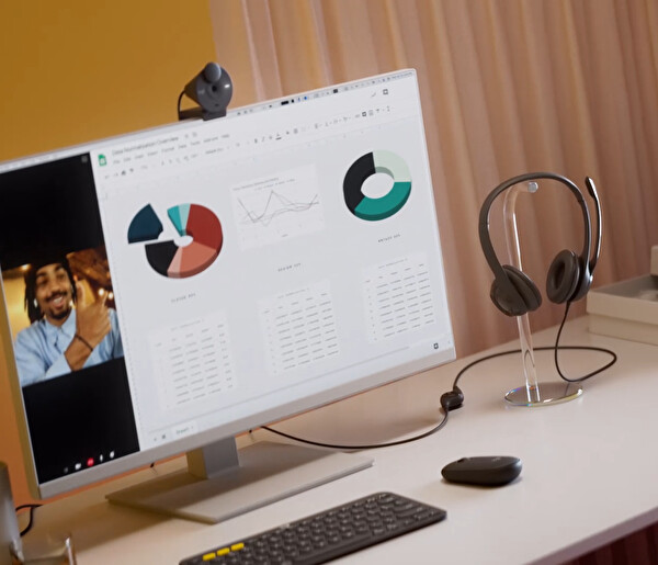 Logitech H390 Kablolu Usb Headset 981-000406