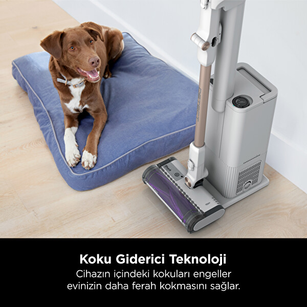 Shark Detect Clean&Empty Auto-Empty Sistemli Turbo Başlıklı Şarjlı Dikey Süpürge 2L