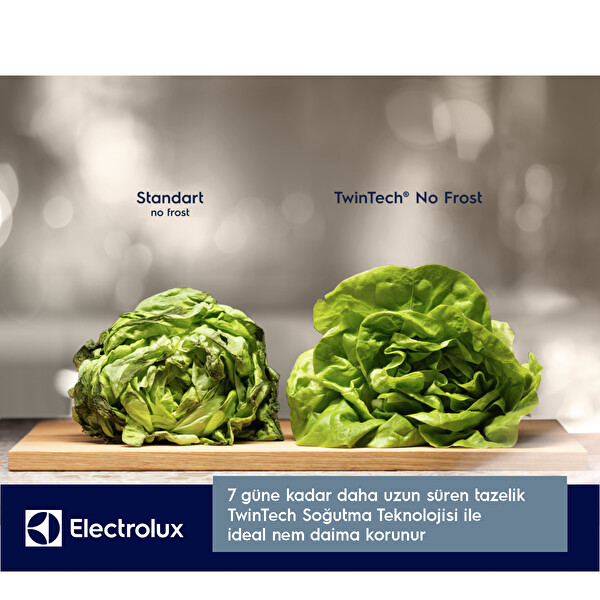 Electrolux LNT6ME46W3 No Frost Buzdolabı Beyaz 6