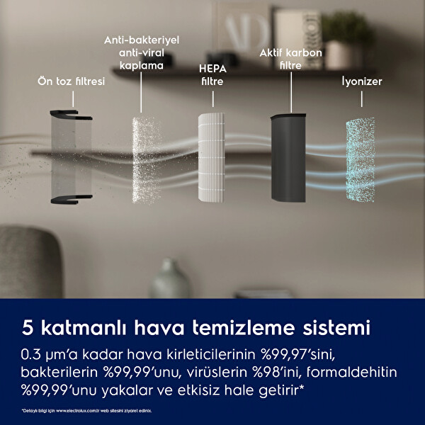 Electrolux EPO60571DG Hava Temizleme