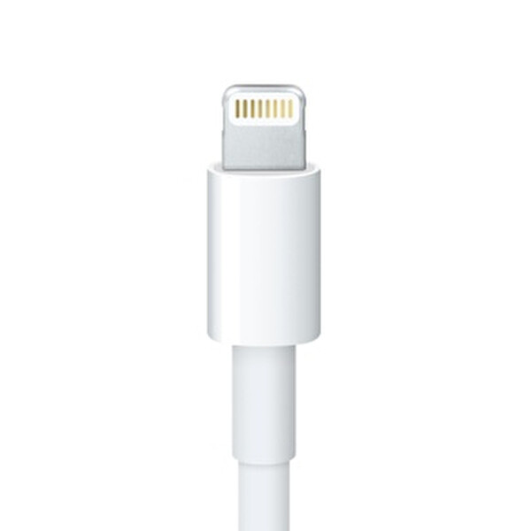 Apple MD824ZM/A Lightning To 30 Pin Adaptör (0.2 M)