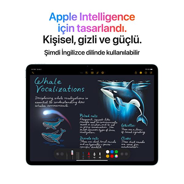 Apple iPad Air 11-inch Wi-Fi + Cellular 128GB Yıldız Işığı MCFX4TU/A