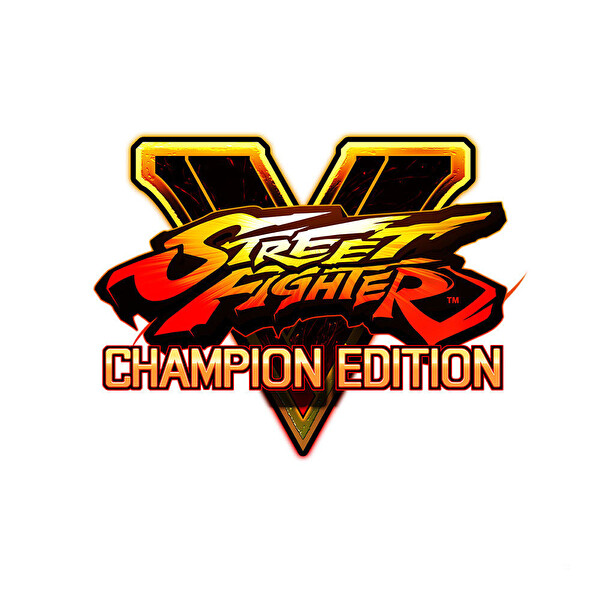 Aral PS4 Street Fighter V Champion Edition PS4 Oyun