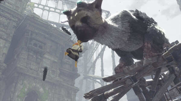 Sony The Last Guardian PS4 Oyun