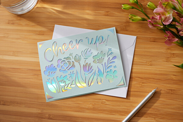 Cricut 2007259 12’li Paket 10.8x14cm Princess Joy Insert Kartı