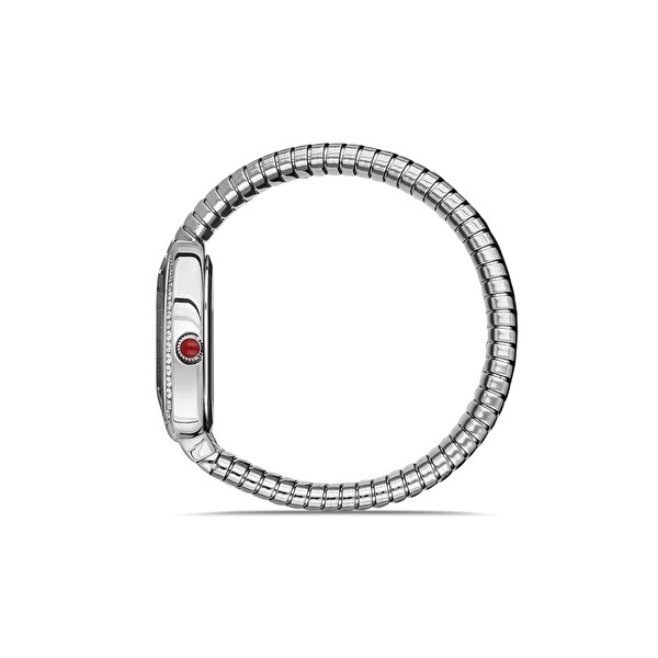 Momentus SS256S-02SS Kadın Kol Saati