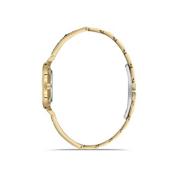 Momentus SW274G-15SG Kadın Kol Saati