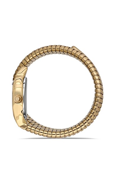 Momentus Ss260g-08sg Kadın Kol Saati