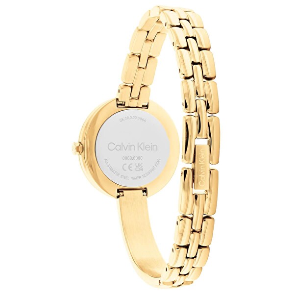 Calvin Klein Ck25200279 Kadın Kol Saati